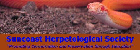 General Information Site creating a web presence for the Suncoast Herpetological Society